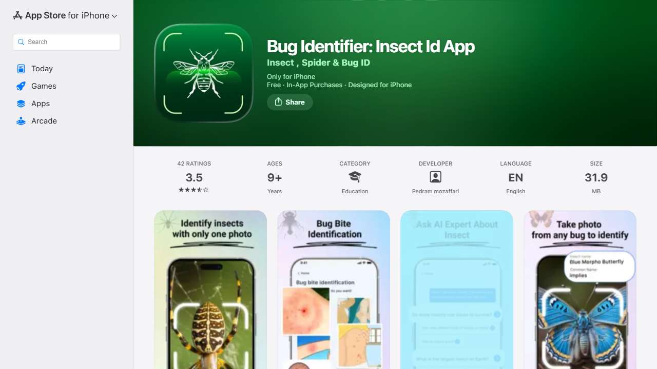 Bug Bite Identifier :Spider ID