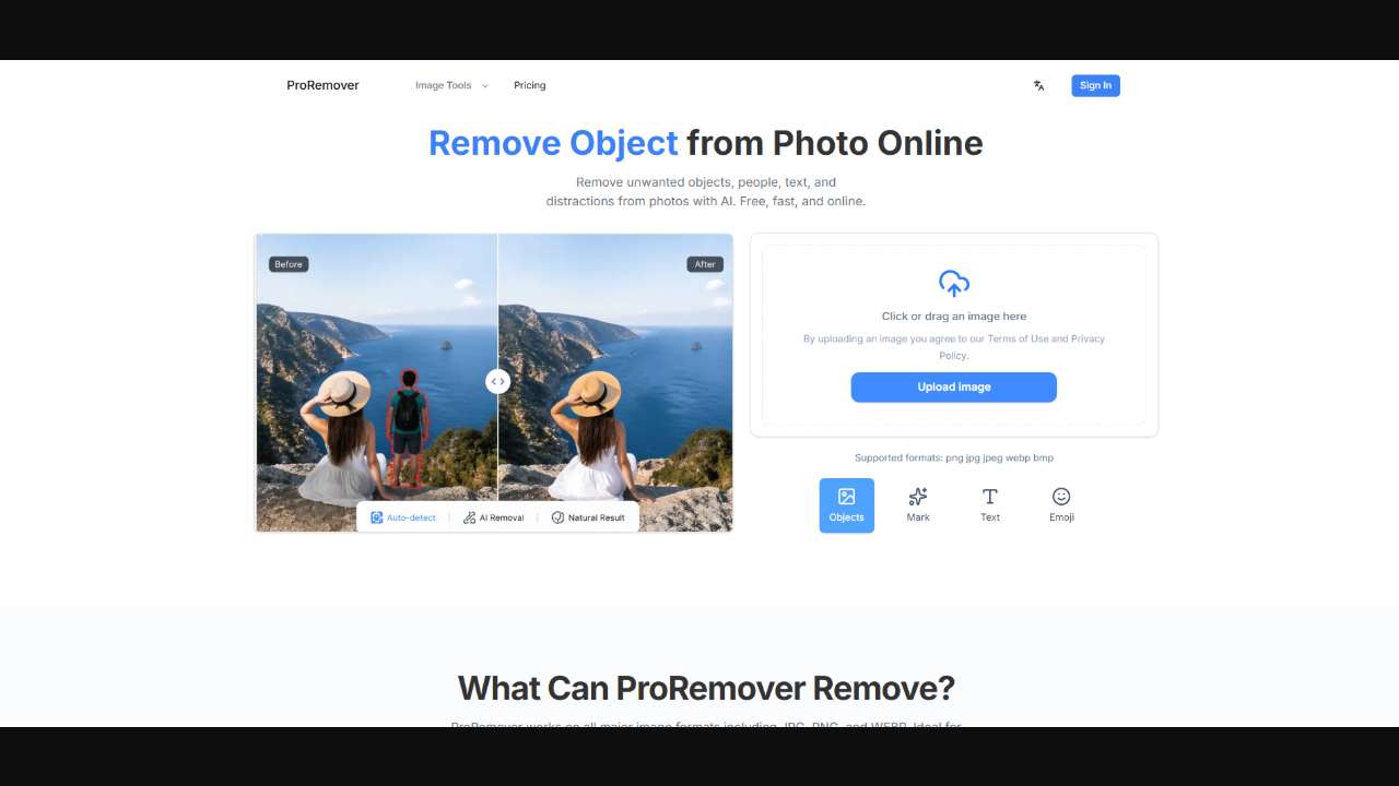 ProRemover