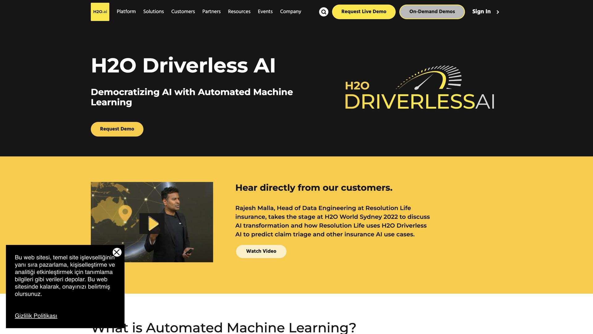 H2O Driverless AI