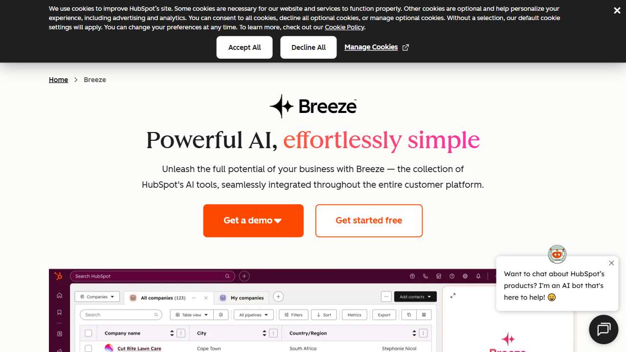 HubSpot AI