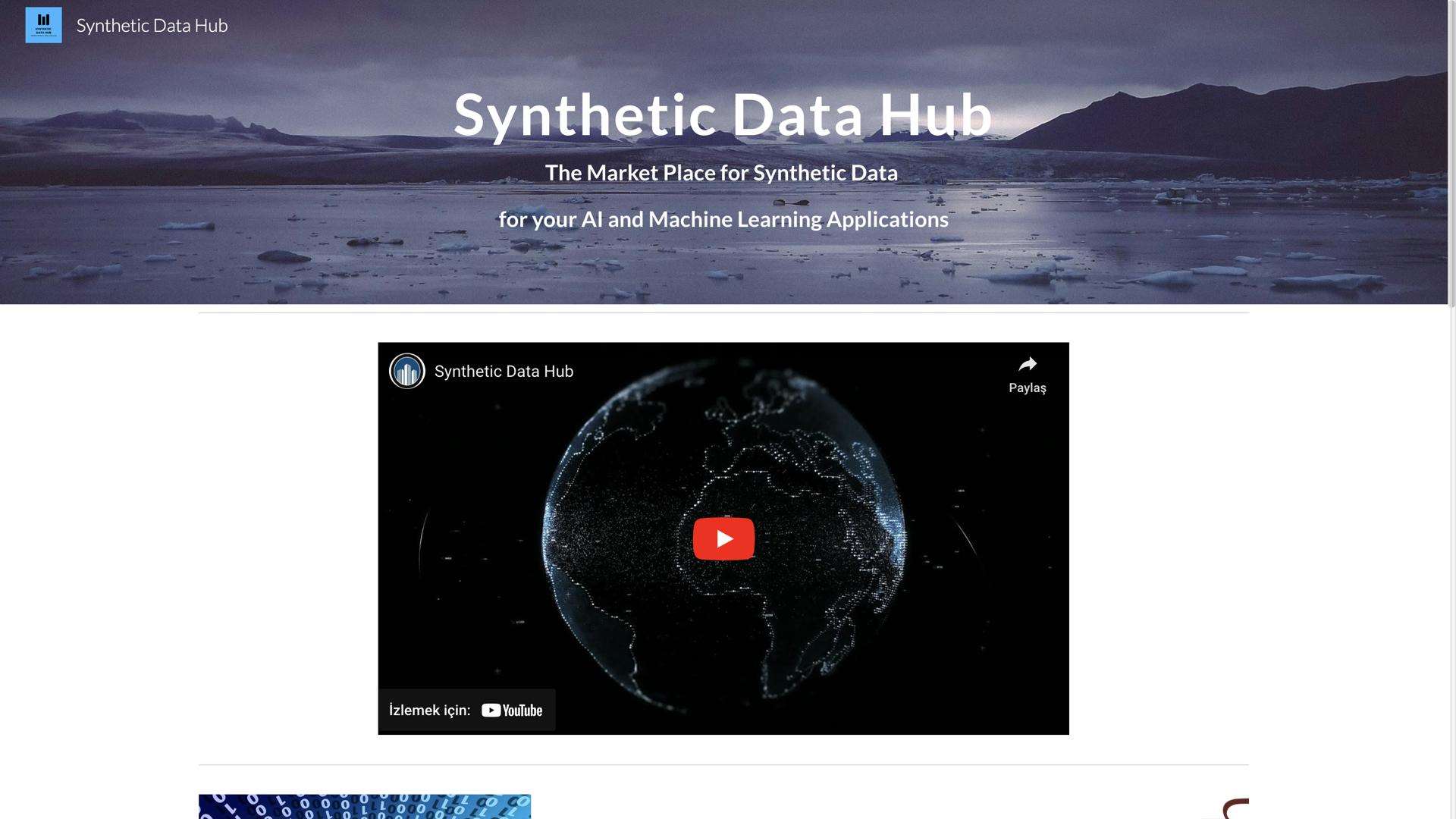 Synthetic Data Hub